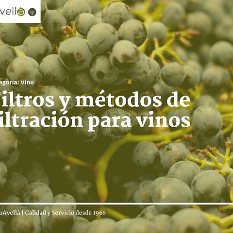 Imagen Filtros y métodos de filtración para vinos